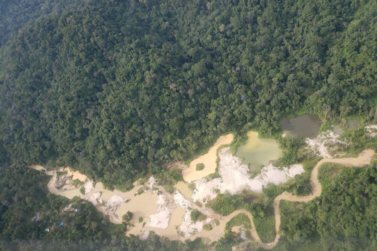 Garimpo ilegal contamina peixes de rios de Roraima, revela estudo