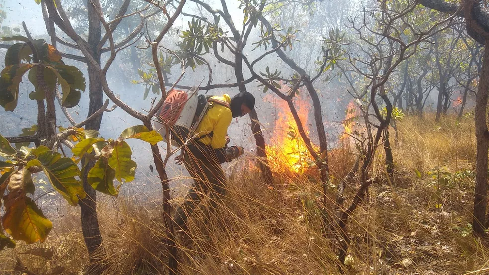 Defesa Civil abre inscrições para 400 vagas em curso de brigadista em Roraima