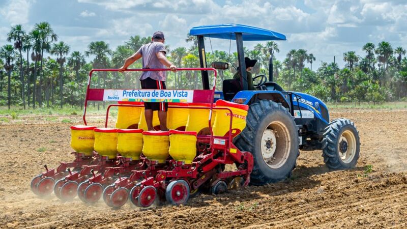 Quinze comunidades indígenas de Boa Vista iniciam plantio de 32 hectares de feijão caupi