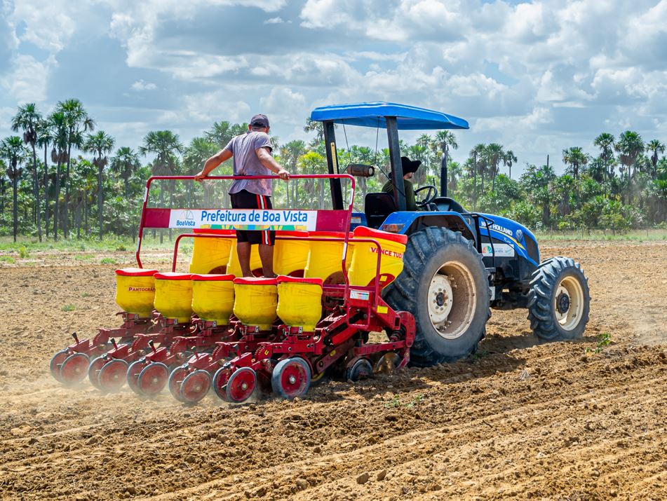 Quinze comunidades indígenas de Boa Vista iniciam plantio de 32 hectares de feijão caupi