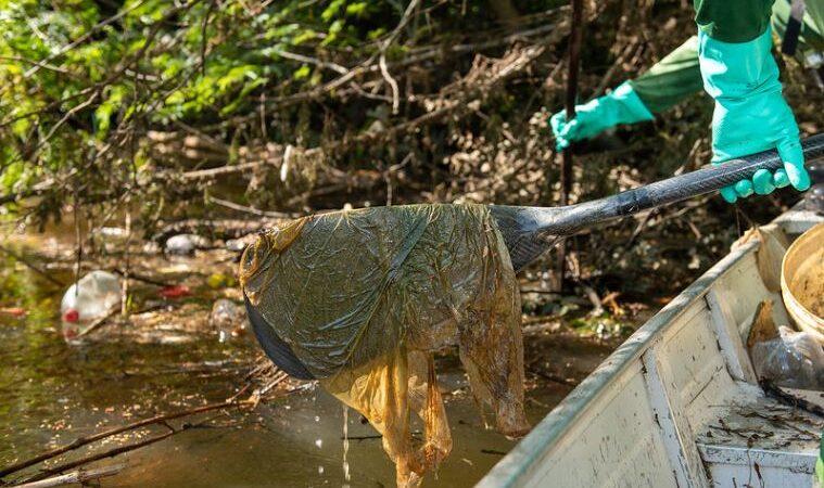 Mais de 600 quilos de lixo são retirados todos os dias das margens do rio Branco, balneários e igarapés de Boa Vista