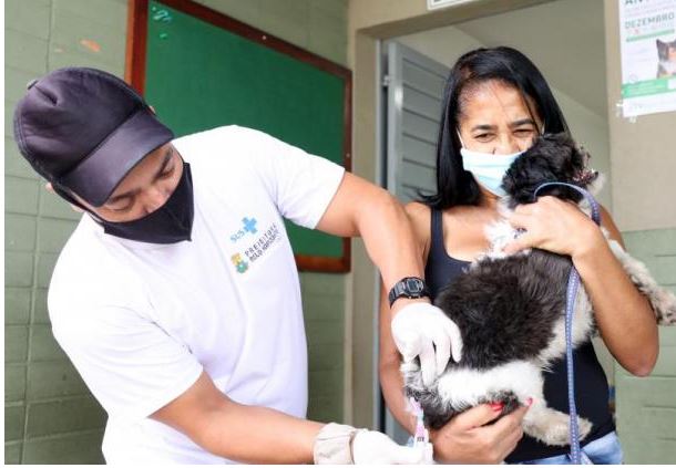 Prefeitura já vacinou mais de 10 mil animais em dois sábados de campanha contra a Raiva