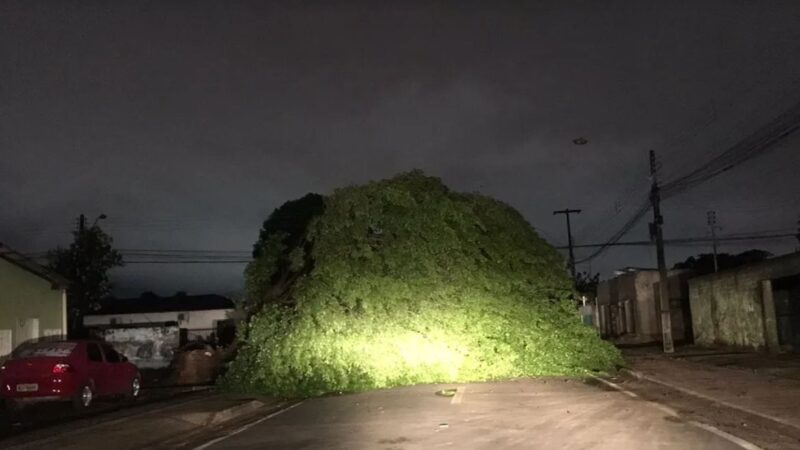 Roraima foi atingido por tempestade tropical do Atlântico