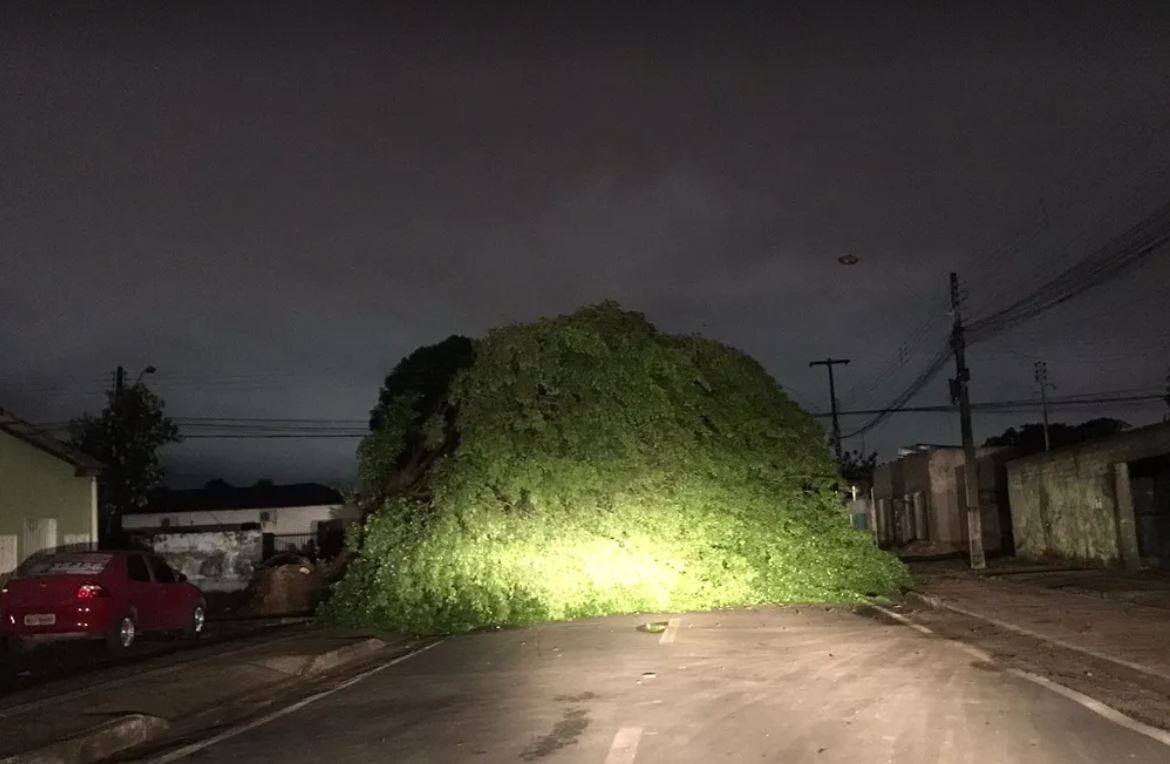 Roraima foi atingido por tempestade tropical do Atlântico