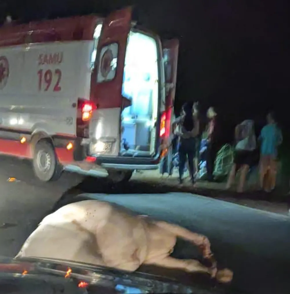 Motociclista fica gravemente ferido ao bater em vaca na pista no interior de Roraima