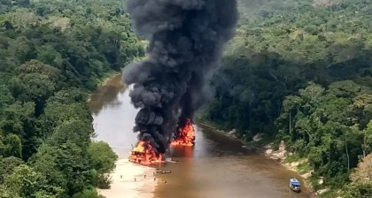 STF derruba lei de Roraima que proibia destruição de bens apreendidos em operações ambientais