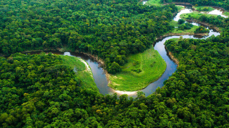 Instituto oferta bolsas de R$ 2 mil a pesquisadores da Amazônia em Roraima