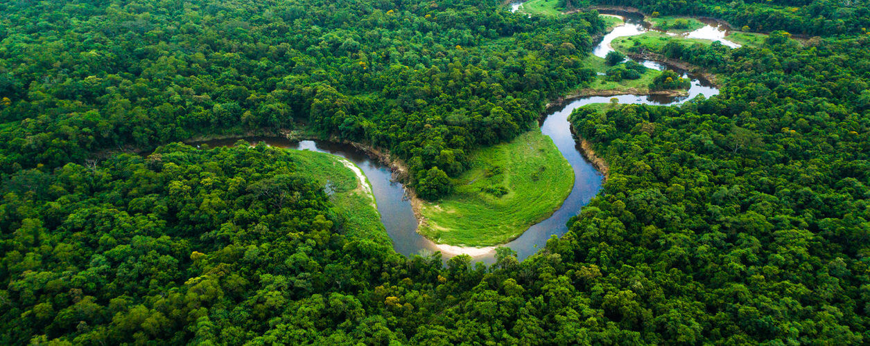 Instituto oferta bolsas de R$ 2 mil a pesquisadores da Amazônia em Roraima