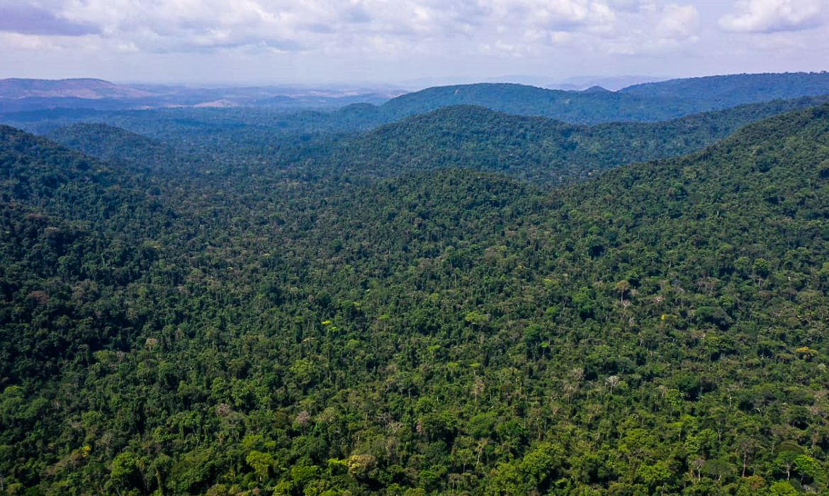 Desmatamento na Amazônia cai 31% de janeiro a maio; apenas 20 municípios concentram 55% do desflorestamento