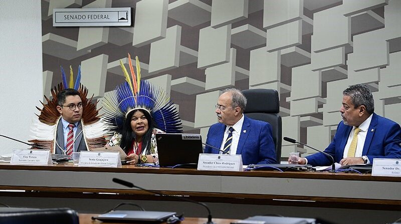 Instalada no Senado em fevereiro, Comissão dos Yanomami apresenta conclusão dos trabalhos nesta terça-feira