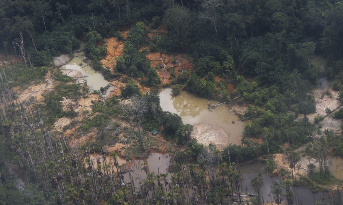 Voos clandestinos na Terra Yanomami caem 90% em 5 meses; R$ 31 milhões em objetos foram apreendidos