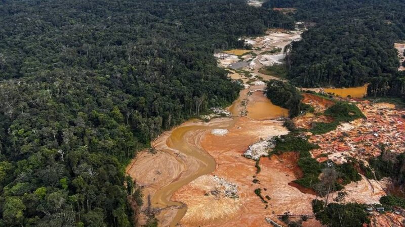 Garimpo na terra Yanomami aumentou quase 200% desde 2020; ‘ainda há garimpeiros resistentes’, diz delegado