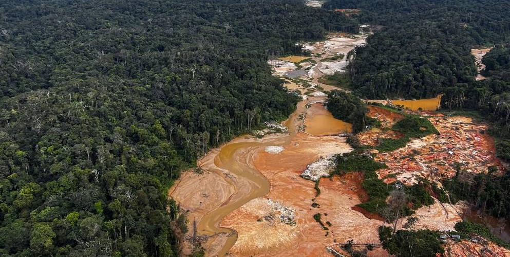 Garimpo na terra Yanomami aumentou quase 200% desde 2020; ‘ainda há garimpeiros resistentes’, diz delegado