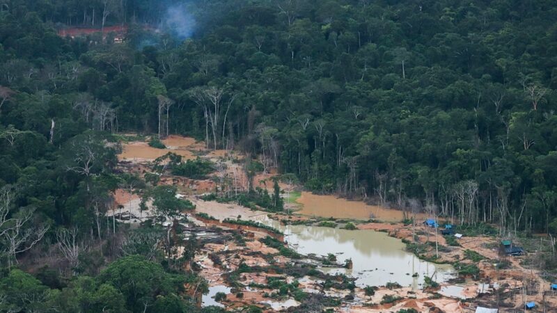 Ataque a tiros na Terra Yanomami deixa criança morta e pelo menos cinco feridos; criminosos conseguiram fugir