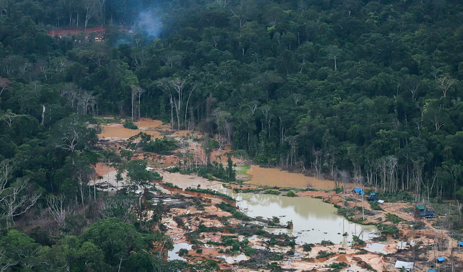 Ataque a tiros na Terra Yanomami deixa criança morta e pelo menos cinco feridos; criminosos conseguiram fugir