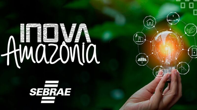 Programa Inova Amazônia ajuda empresa de mudas a desenvolver tecnologia inovadora em Roraima