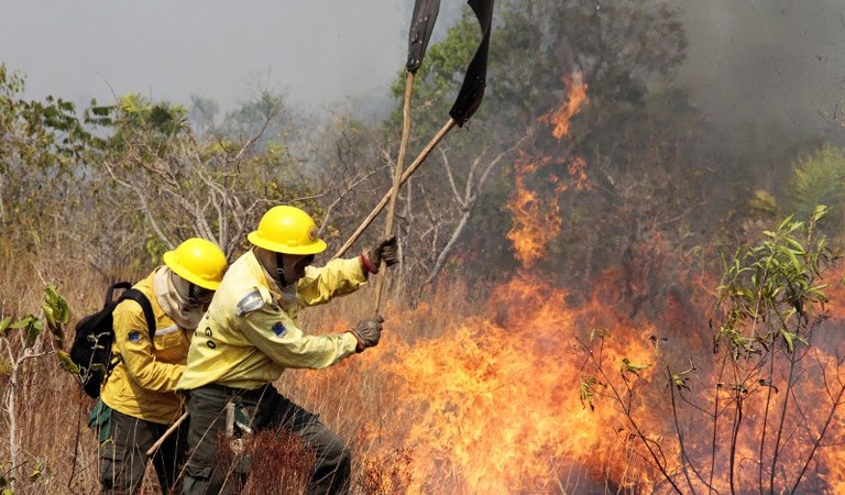 Ibama vai contratar 118 brigadistas federais para prevenção e combate a incêndios florestais em Roraima