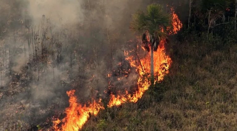 Quase metade da área queimada no país em seis meses esteve concentrada em Roraima, revela MapBiomas Brasil