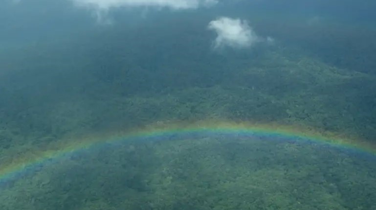 Terra Yanomami começa a se recuperar com saída de garimpeiros, mas casos de malária e desnutrição ainda preocupam