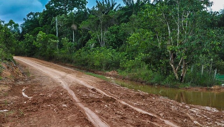 Justiça Federal em Roraima e no Pará determina bloqueio de R$ 95,6 milhões de acusados de desmatamento