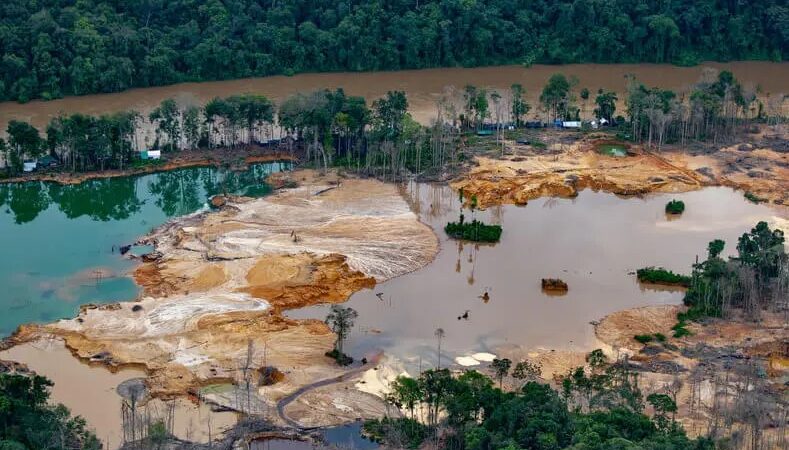 Estudo crítico faz balanço de seis meses de operação de combate à desnutrição e garimpos na Terra Indígena Yanomami