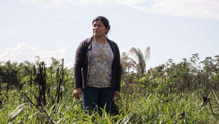 Com roça e criação de peixes, terras indígenas de Roraima buscam aliar tradição e sustento