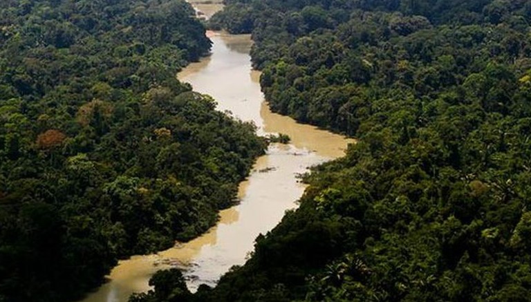 Alertas de desmatamento na Amazônia Legal caem 66% em agosto e redução de focos de calor é de 47,5%, segundo Inpe