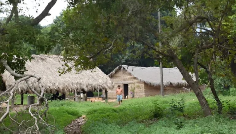 Terras indígenas demarcadas possuem temperatura até 5° C menor do que as áreas não protegidas por lei, diz Ipam