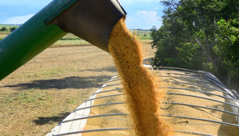 Soja lidera exportações em Roraima e contribui para salto na balança comercial