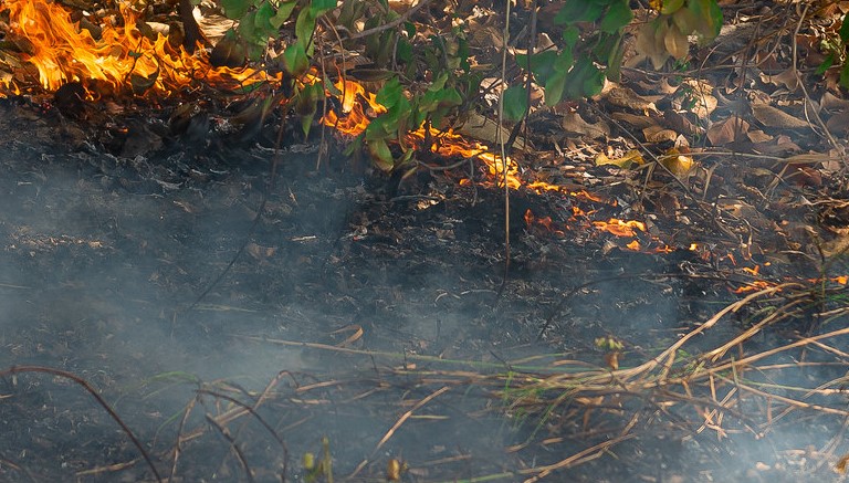 Prefeitura de Boa Vista lança campanha de prevenção contra queimadas e incêndios