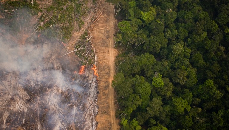 Desmatamento na Amazônia cai 59% em setembro, segundo Inpe