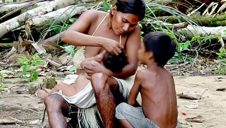 TRF mantém salário-maternidade para indígenas Wapixana menores de 16 anos