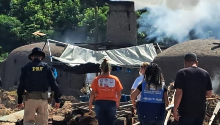 Operação conjunta combate trabalho infantil em carvoarias de Boa Vista