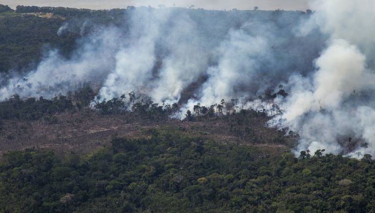 Roraima, Amazonas e Acre têm mais queimadas em outubro deste ano do que no mesmo período de 2022