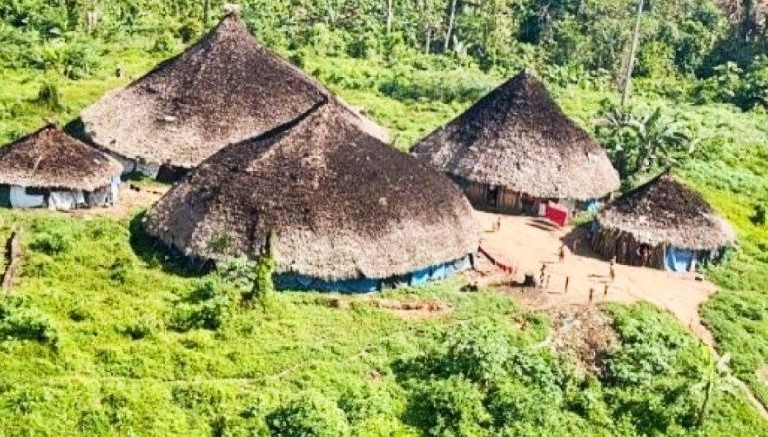 Juízes da Corte Interamericana de Direitos Humanos visitam terras Yanomami