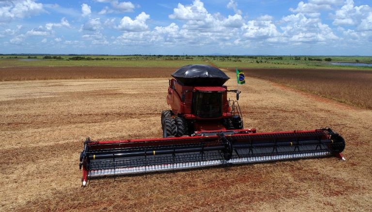 PIB de Roraima tem um dos maiores crescimentos do país; agropecuária impulsiona aumento