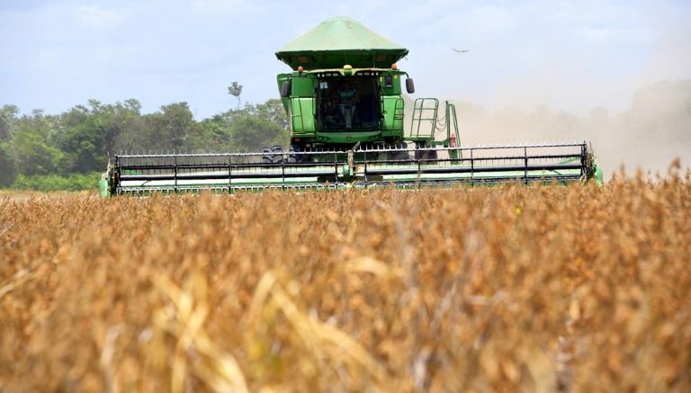 Criação de empregos formais no setor agropecuário de Roraima aumenta 21% em 2023