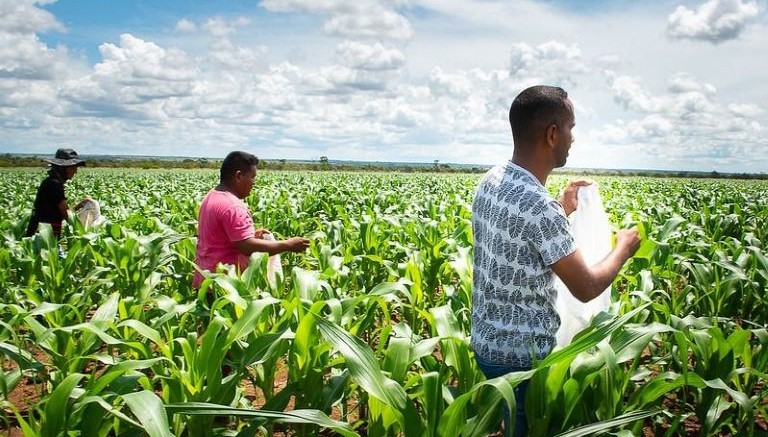 Agricultores de Boa Vista beneficiados pelo PMDA podem aderir ao Refis para renegociar débitos