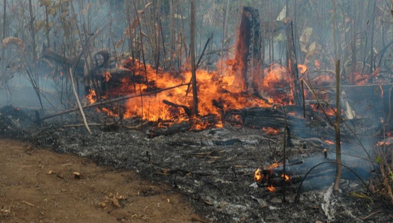 Calendário de queimadas em Roraima segue aberto até 8 de dezembro