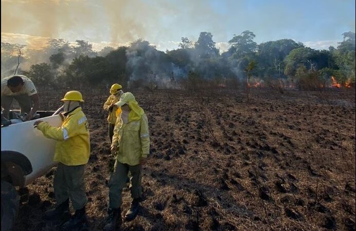 Roraima tem 22% dos focos de queimada de todo o país e nove municípios têm decretação de emergência