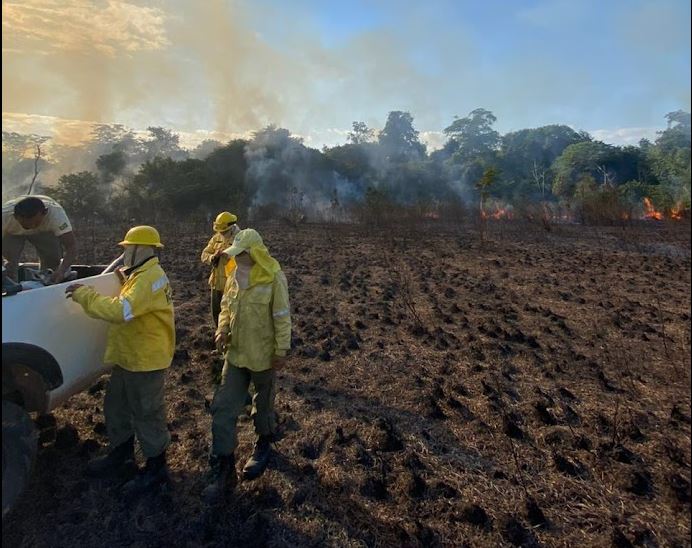 Roraima tem 22% dos focos de queimada de todo o país e nove municípios têm decretação de emergência