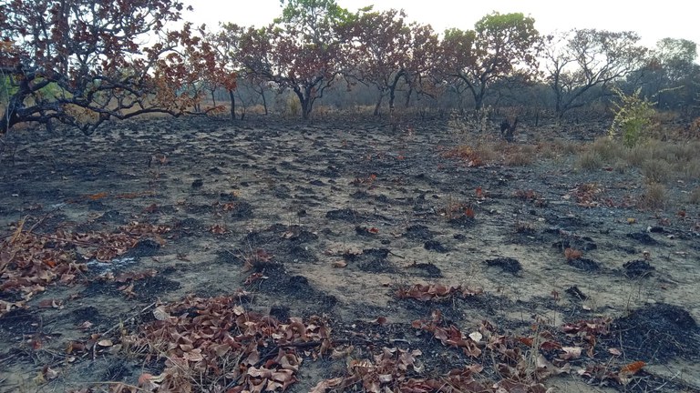 Funai monitora estiagem e incêndios em Roraima e promove ações em comunidades indígenas