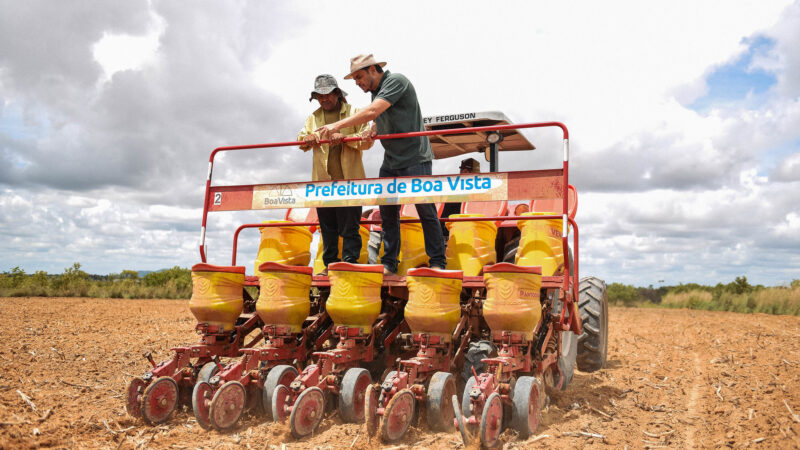 Com incentivo da Prefeitura de Boa Vista, produtores rurais iniciam plantio de milho