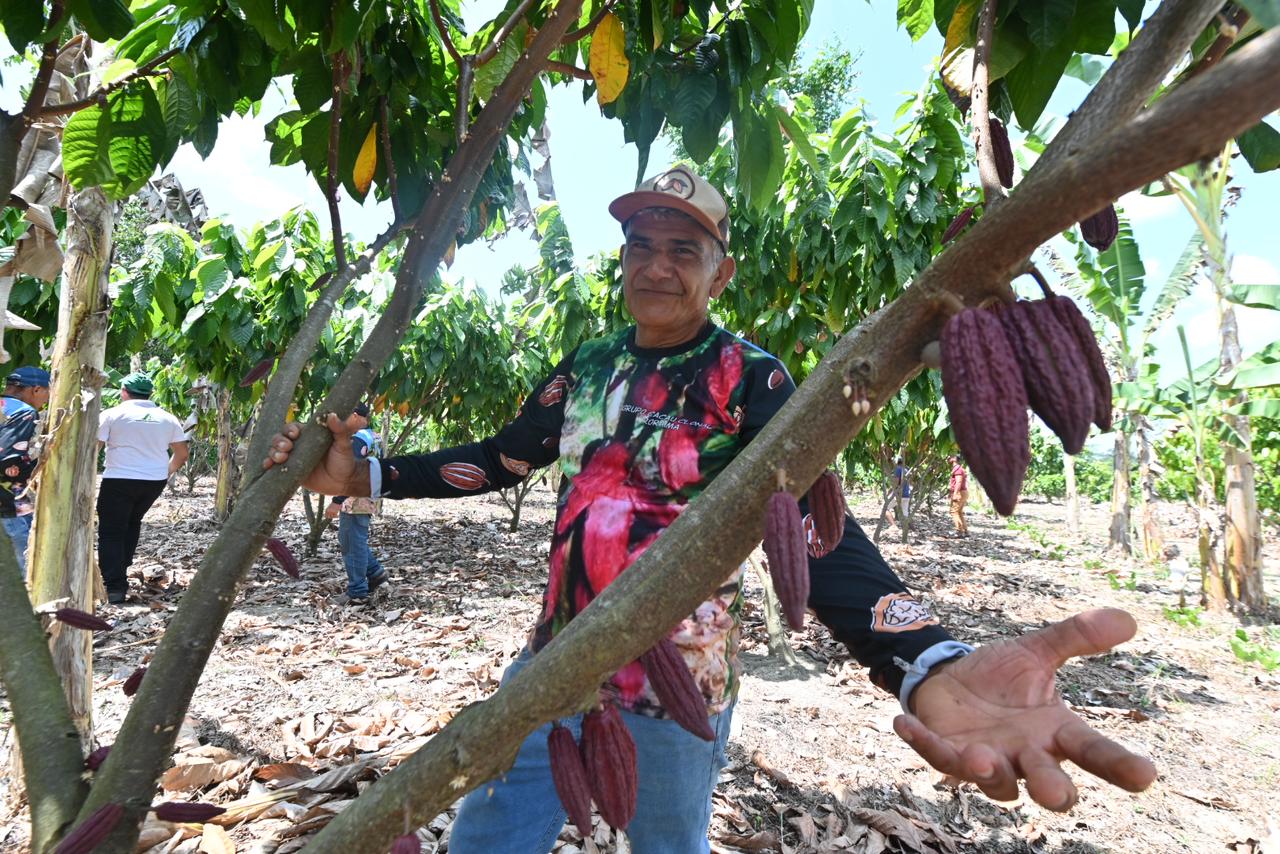 Presidente da Assembleia Legislativa discute expansão da produção de cacau em Roraima