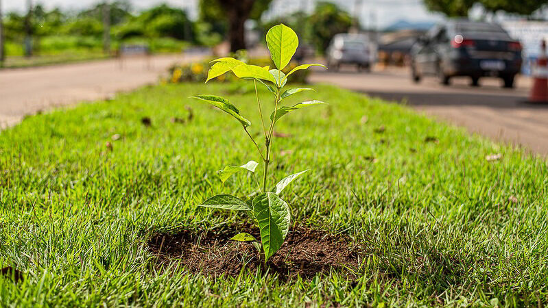 Inscrições para 3ª Conferência Municipal do Meio Ambiente seguem abertas