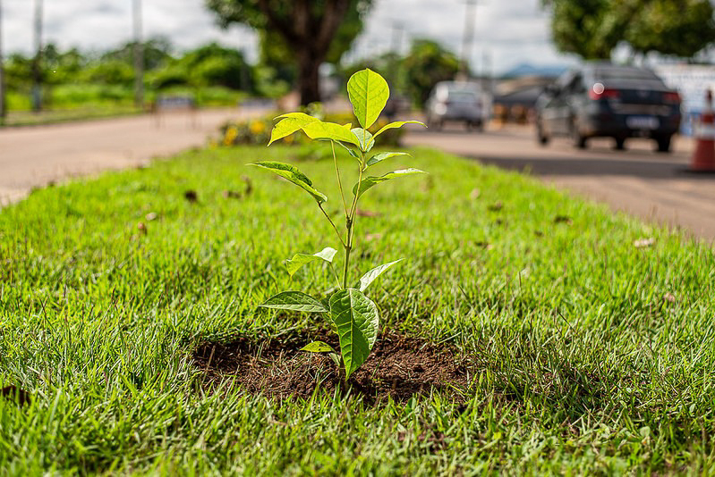 Inscrições para 3ª Conferência Municipal do Meio Ambiente seguem abertas