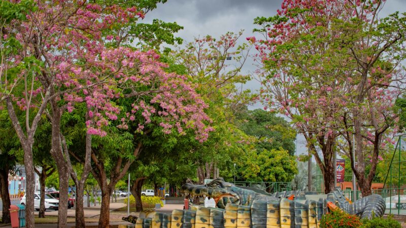 Investimentos em sustentabilidade transformam a cidade e conscientizam a população