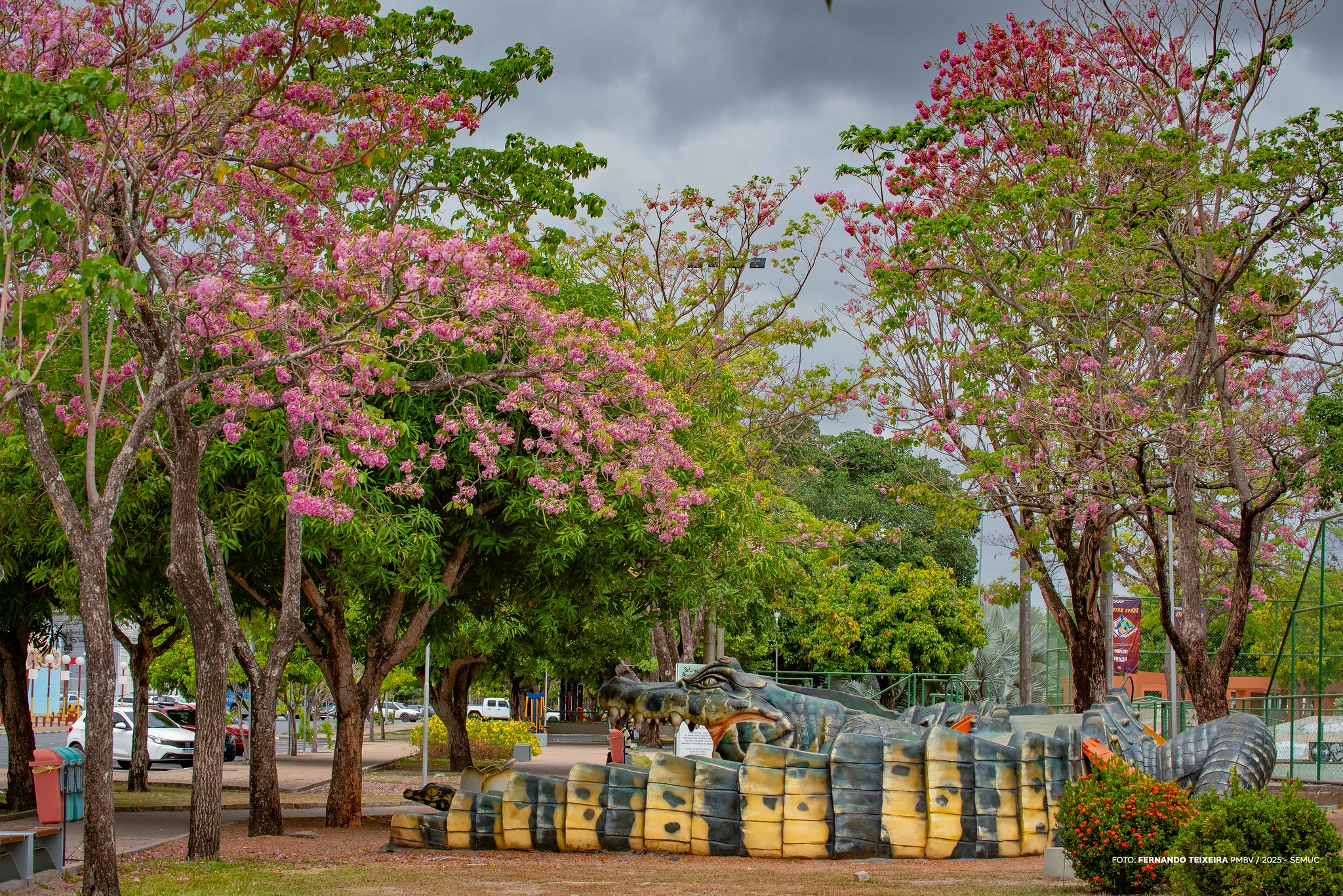 Investimentos em sustentabilidade transformam a cidade e conscientizam a população