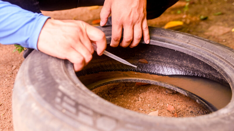 Novo levantamento aponta casas e comércios como principais focos do Aedes aegypti em Boa Vista