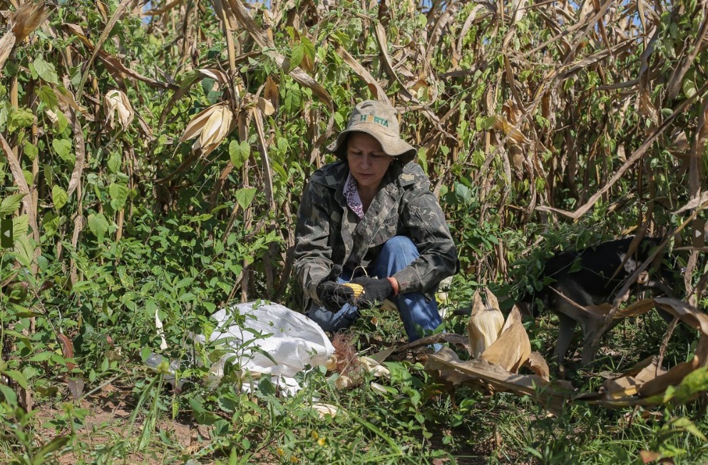ALERR destaca leis importantes que beneficiam pequenos agricultores